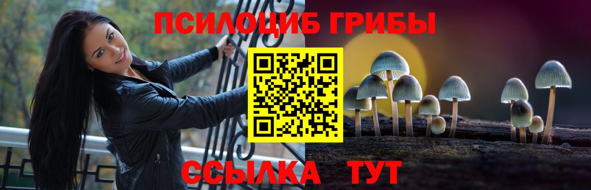 Краснокамск  Псилоцибиновые грибы GOLDEN TEACHER  Галлюциногенные грибы мицелий  Вход с VPN 